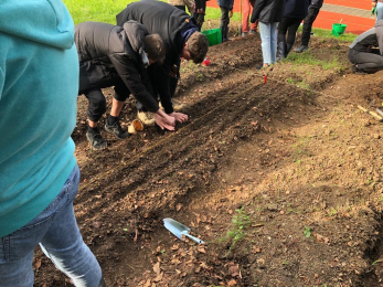 Nauengarten - Um sähen zu können, müssen Linien ins Beet gezogen werden.