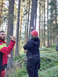 Teamanlässe III