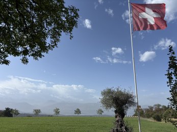 Teamanlässe II