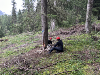 Teamanlässe III