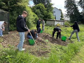 Nauengarten