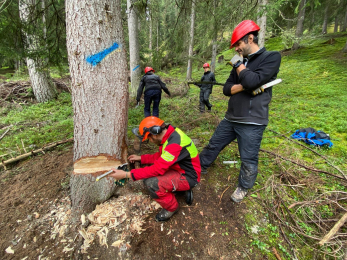 Teamanlässe III