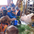 Kindergarten-Exkursion zum Bauernhof.